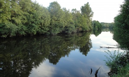 Rivière typique de l'habitat du silure