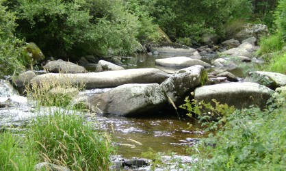 rivière à truite en Lozére
