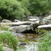 Rivière à truite en Lozère