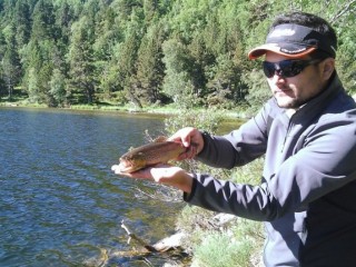 Truite fario Etang de Querigut