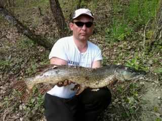 brochet 80 cm leurre souple.jpg
