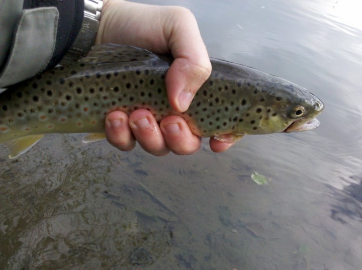 2013-12-01_15-03-33_333-jpg