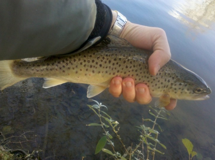 2013-12-01_15-29-20_445-jpg
