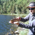 truite-fario-etang-de-querigut